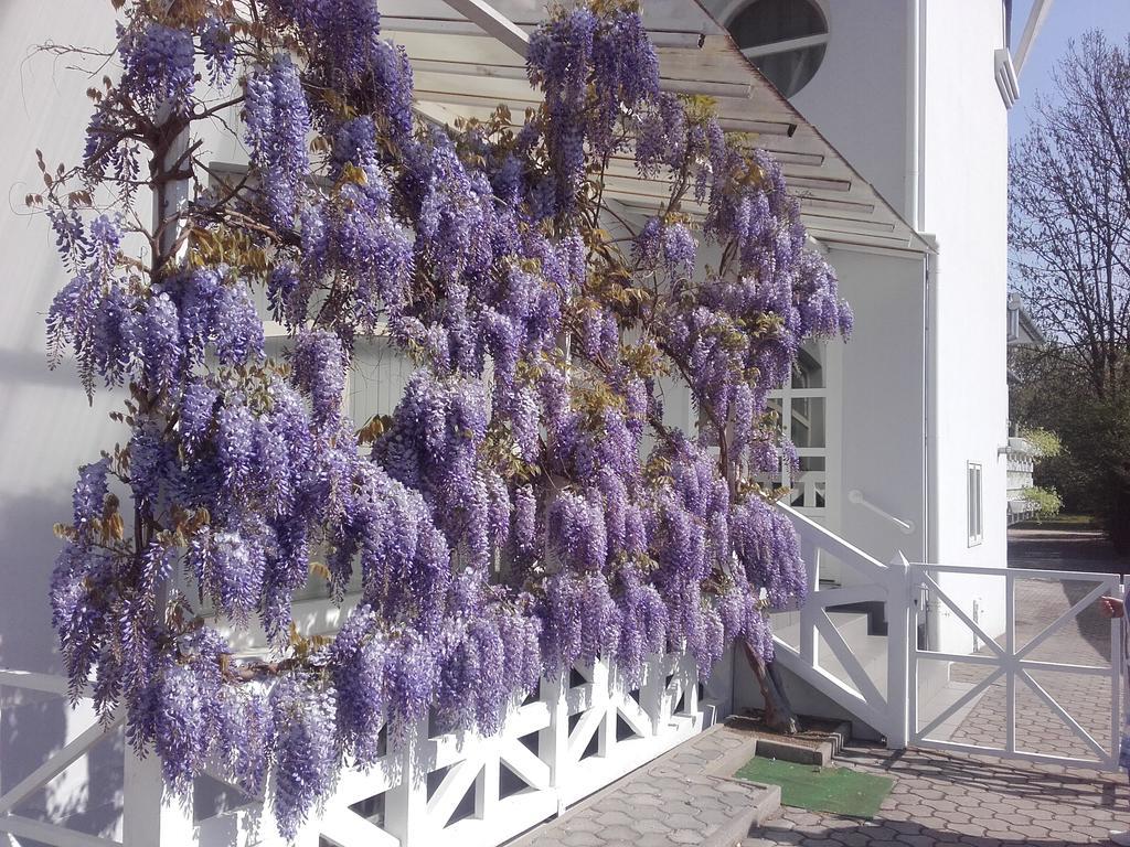 Lila Haz Apartment ฮอร์กานี ภายนอก รูปภาพ